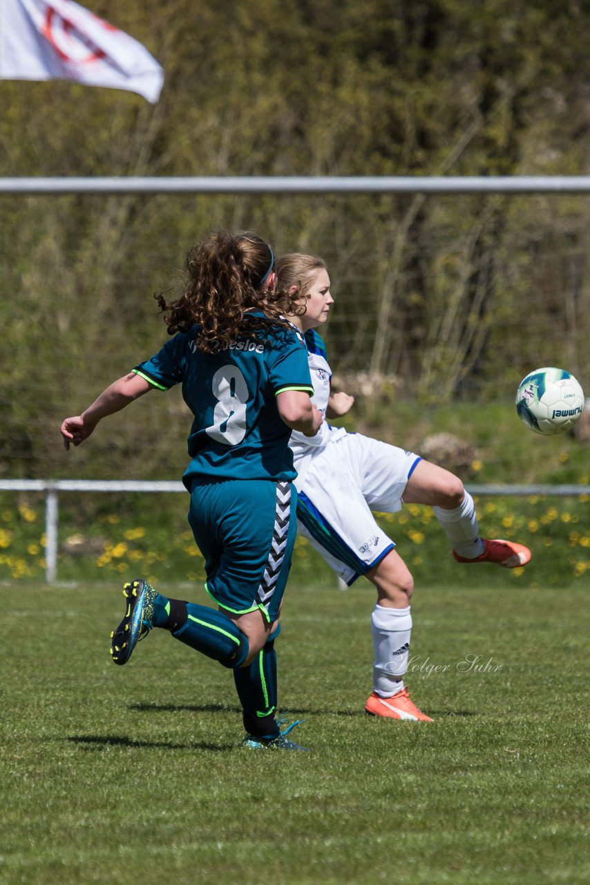 Bild 391 - wBJ VfL Oldesloe - SV Henstedt Ulzburg : Ergebnis: 3:3